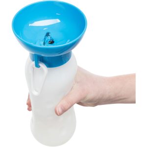 botellas gato