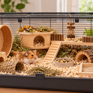 habitat hamster