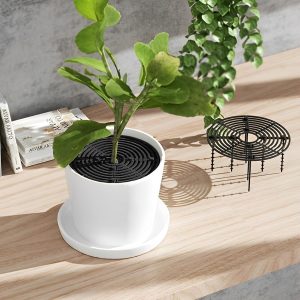 jardin y plantas gato